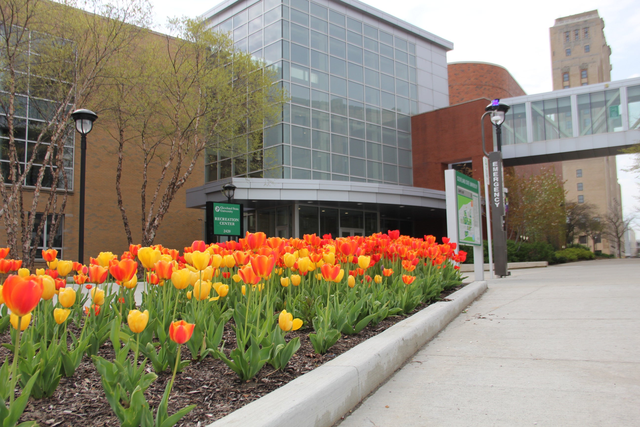 CSU Recreation Services Transforming the Campus over 15 Years